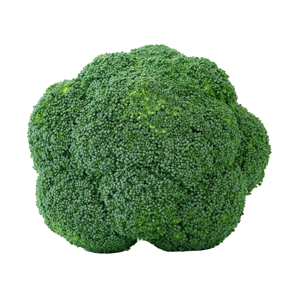Featured image of post Brócolis Png / Brocoli png, transparent png is pure and creative png image uploaded by designer.