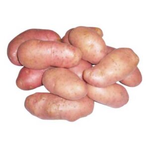 BATATA INGLESA ROSA 500G