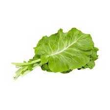 COUVE MANTEIGA MOLHO (SEM AGRO)