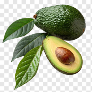 ABACATE AVOCADO 1KG