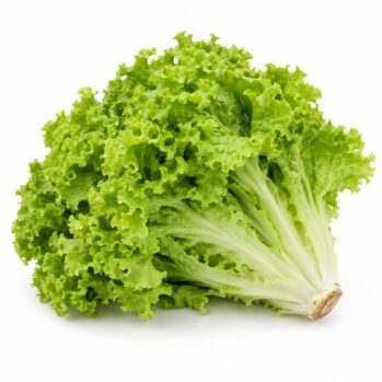 Alface Crespa