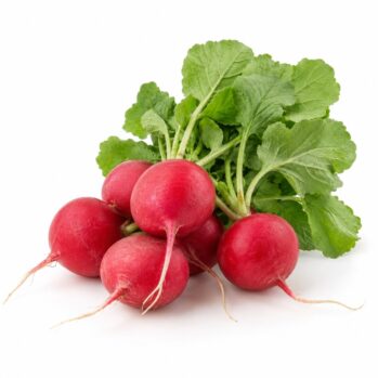 Rabanete