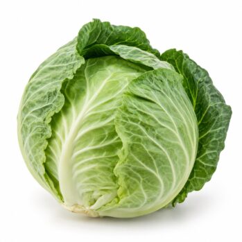 Repolho Verde