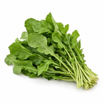 Rúcula