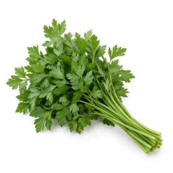 Salsa