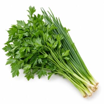 Tempero Verde